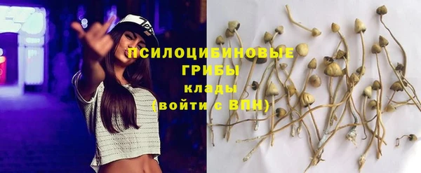 прущий лед Каменка