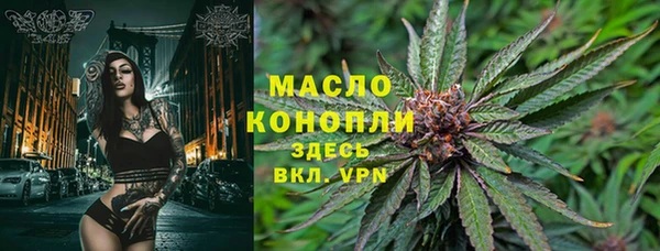 прущий лед Каменка
