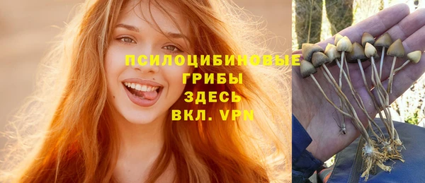 гашик Каменск-Шахтинский