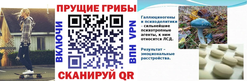 цены наркотик  Орск  Галлюциногенные грибы прущие грибы 