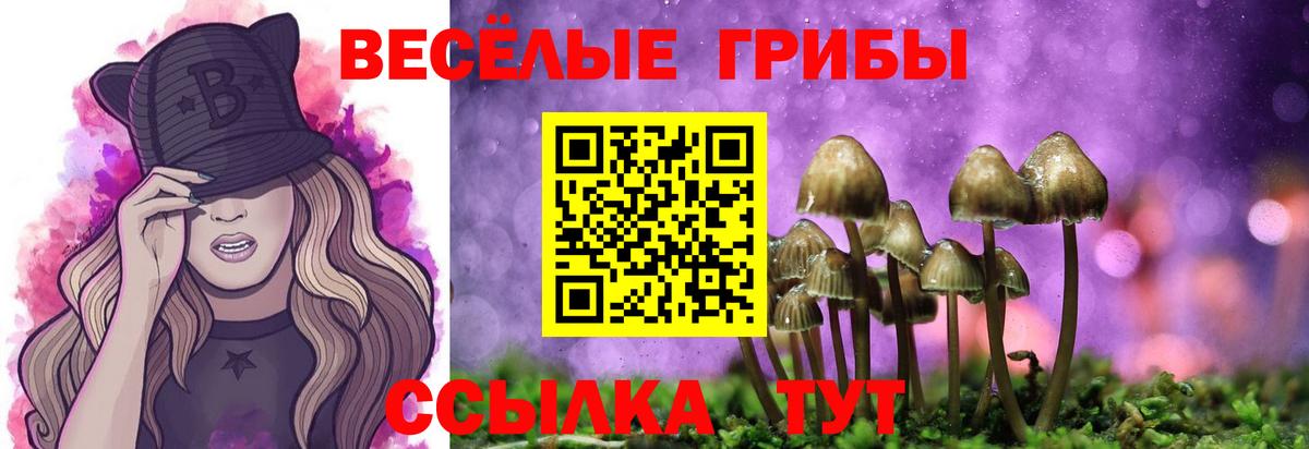 Бошки Шишки  ЭКСТАЗИ  NBOMe  Мефедрон  Cocaine  ТГК  Орск  ГАШ  Меф кристаллы  МДМА  Вход с VPN 