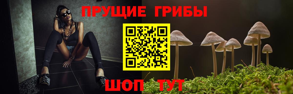 Орск  хочу наркоту  Галлюциногенные грибы Psilocybe  Вход с VPN  Галлюциногенные грибы мицелий 
